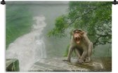 Wandkleed Junglebewoners - Schreeuwende aap voor waterval Wandkleed katoen 90x60 cm - Wandtapijt met foto