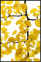 JUNIQE - Poster met kunststof lijst Ginkgo -60x90 /Bruin & Geel
