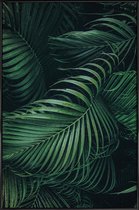 JUNIQE - Poster met kunststof lijst Feathered Palm -13x18 /Groen