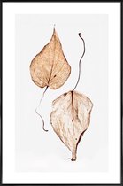 JUNIQE - Poster met kunststof lijst Delicate Leaves -13x18 /Bruin &