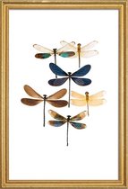 JUNIQE - Poster met houten lijst Libellen -60x90 /Blauw & Bruin
