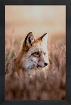 JUNIQE - Poster met houten lijst Fox in Reeds -60x90 /Bruin & Oranje