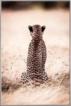JUNIQE - Poster met kunststof lijst Still Leopard -30x45 /Bruin
