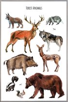 JUNIQE - Poster met kunststof lijst Forest Animals -60x90 /Bruin &