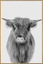 JUNIQE - Poster met kunststof lijst Young Highland Cow Classic -60x90
