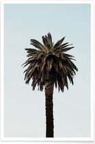 JUNIQE - Poster Palmtree -20x30 /Bruin & Groen