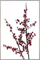 JUNIQE - Poster met kunststof lijst Red Berries 2 -30x45 /Rood & Wit