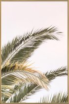 JUNIQE - Poster met kunststof lijst Oasis Palm 3 -30x45 /Groen