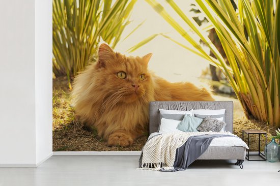 Papier peint photo vinyle - Chat persan parmi les plantes largeur 450 cm x hauteur 300 cm - Tirage photo sur papier peint (disponible en 7 tailles)