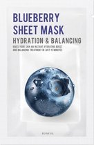 Bosbes hydraterend sheet masker 22ml