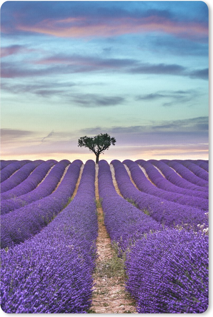 Muismat Lavendel  - Lavendelveld tijdens zonsondergang met boom op de horizon muismat rubber - 18x27 cm - Muismat met foto