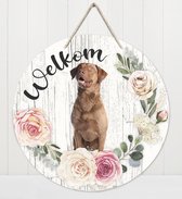 Welkom - Chesapeake Bay Retriever | Muurdecoratie - Bordje Hond