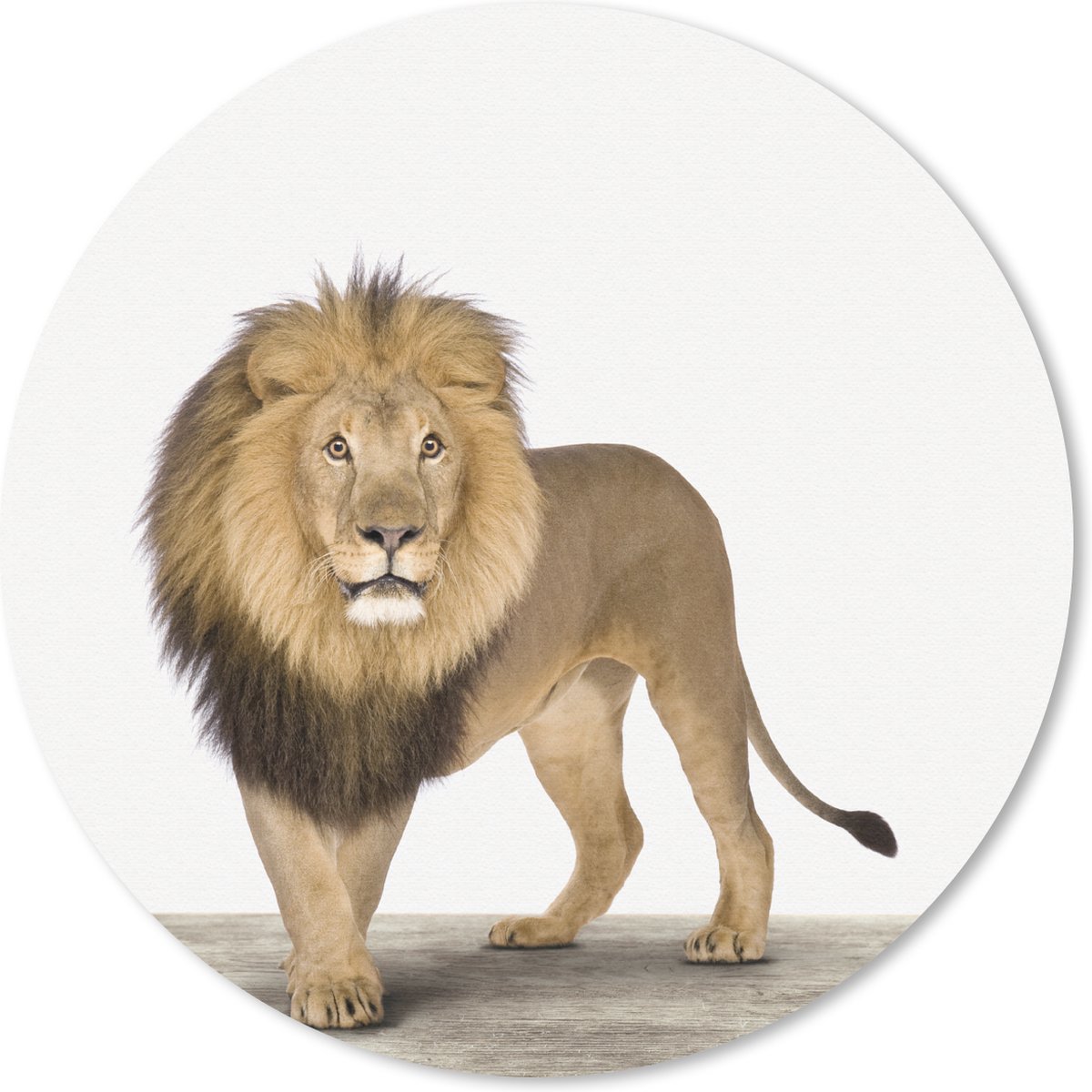 Muismat Animalprintshop - Leeuw dierenprint Muismat rond - 30x30 cm - Muismat met foto