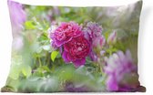 Sierkussen Roze roos voor buiten - Roze rozen groeien in de wijde natuur - 50x30 cm - rechthoekig weerbestendig tuinkussen / tuinmeubelkussen van polyester