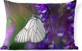 Buitenkussens - Tuin - Groot geaderd witje vlinder op een bloem - 50x30 cm