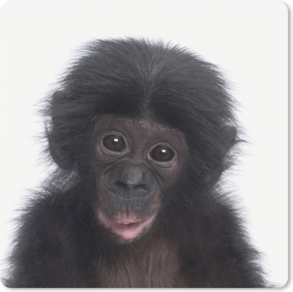 Muismat Animalprintshop - Chimpansee - Portret dierenprint muismat rubber - 20x20 cm - Muismat met foto