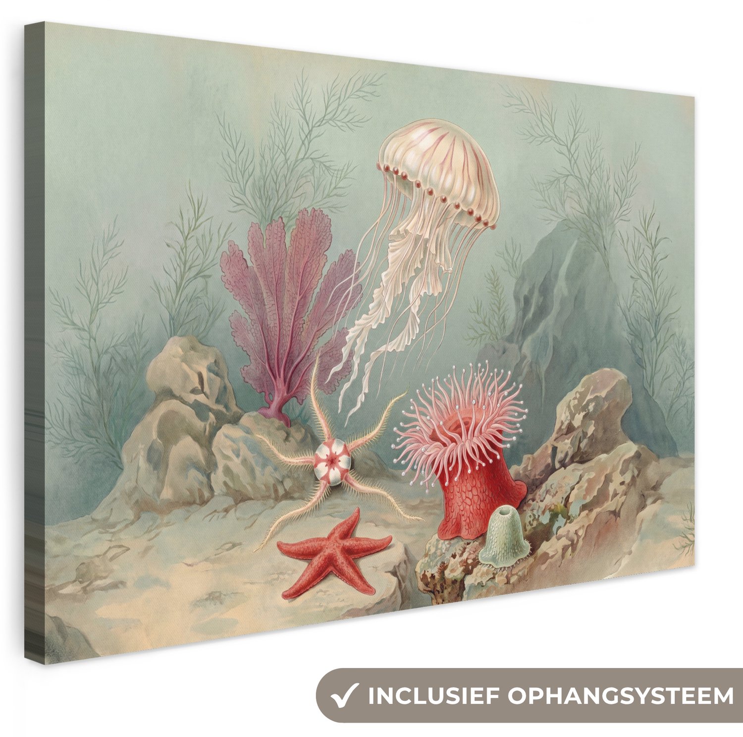 Canvas schilderij 90x60 cm - Exclusieve wanddecoratie Zeeleven - Kwal - Onderwater - Illustratie - Beige - Muurdecoratie woonkamer - Slaapkamer decoratie - Kamer accessoires - Schilderijen op canvas