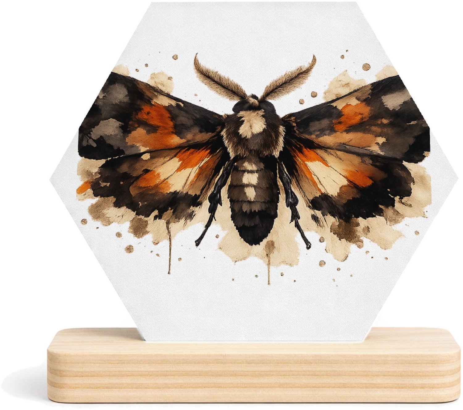 Mr Cadeautjes MDF fotolijst/inleg hexagon 14 x 13 - design Een dramatisch insect of nachtvlinder met brede vleugels en | cadeau Wit