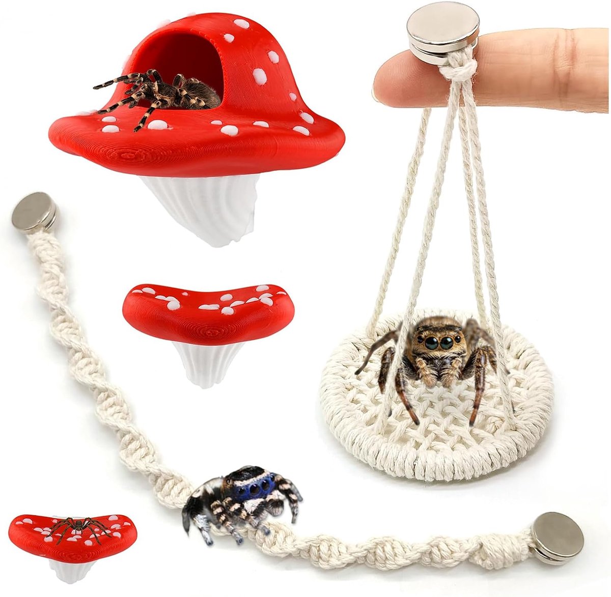 6-delige Springspinnen Accessoire, Sterk Magnetisch Set voor Springspinnen Terrarium & Verblijf, Habitatverrijking met 2 witte spinnenwebben, 2 groene spinnenwebben, 1 schommelzitplaats