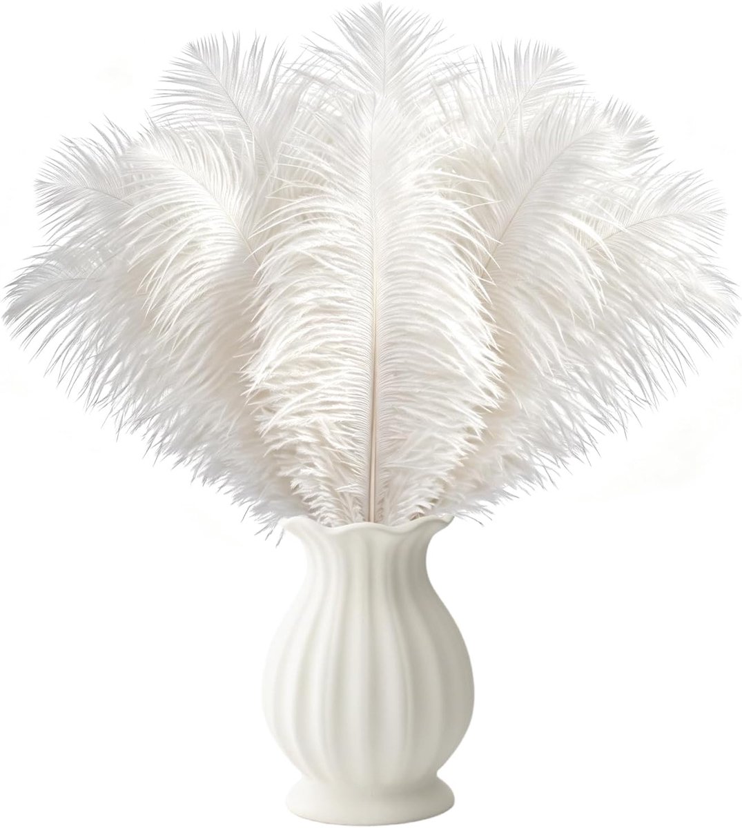 Veren, 25-30cm, wit | voor vaas, bloemstuk, lamp, feestdecoratie, kleding en knutselen