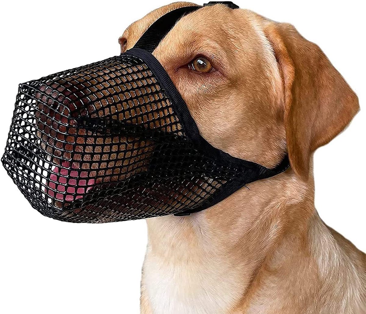 Muilkorf Met Afgerond Mesh Voor Honden - Ademend, Verstelbaar, Bescherming Tegen Bijten en Kauwen - Voor Kleine, Middelgrote en Grote Honden, L