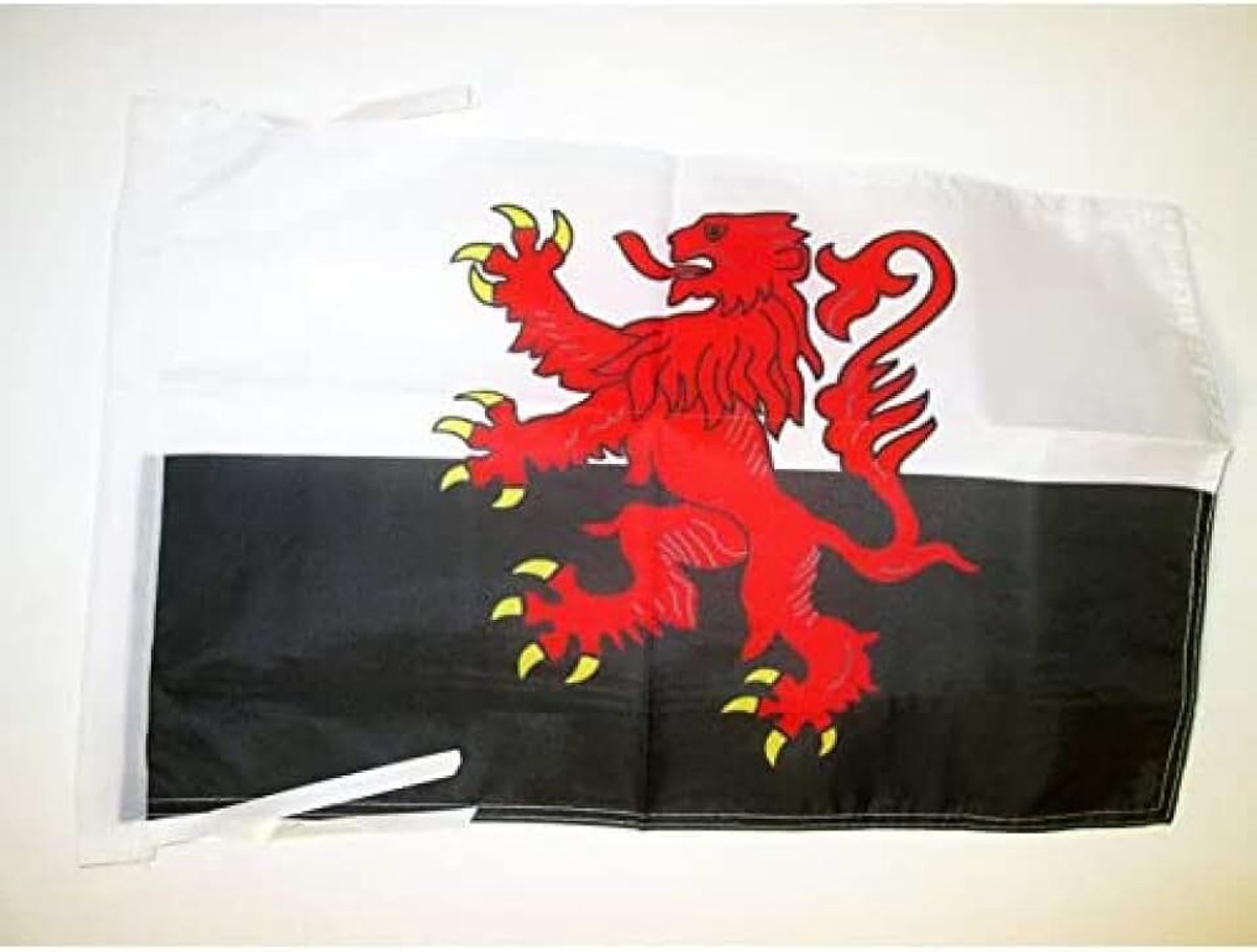 Alternatieve vlag 45x30 cm koorden - Franse regio Poitou-Charentes KLEINE vlaggen 30 x 45 cm - Banier 18x12 in Hoge kwaliteit - AZ FLAG | Binnen en buiten decoratieve vlag dubbel gest