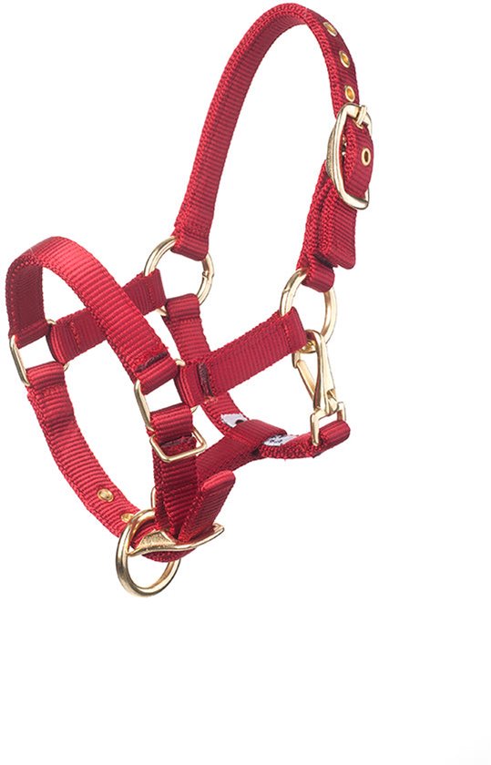 Rood halster met gouden gespen en clipsluiting.