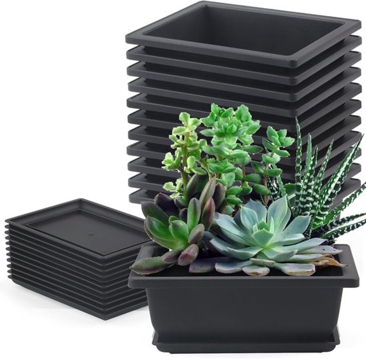 Bonsai Potten - Plantenbakken - Planten Kweken - Met Lade - 12 Stuks - Zwart