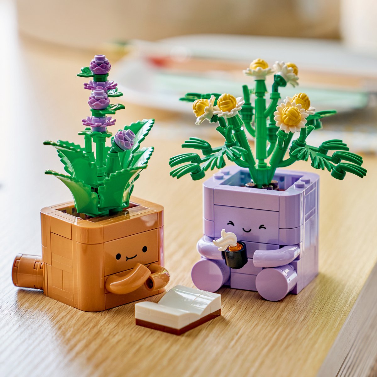 LEGO Botanicals Gezellige Plantjes Bouwpakket voor Kinderen en Kinderkamer-Decoratie 10371 — cadeau in Spellen & Speelgoed - foto 8