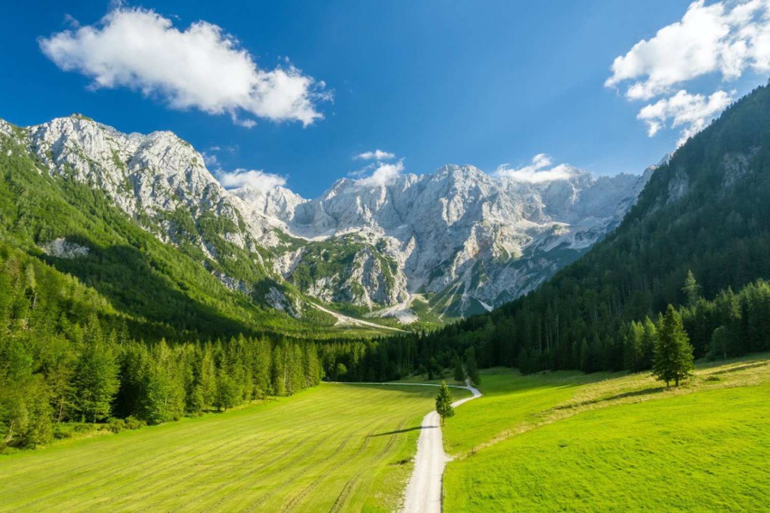 Vgdesign Alpenweide met bergen 130x70 cm tuinposter banner VGDesign onbekend