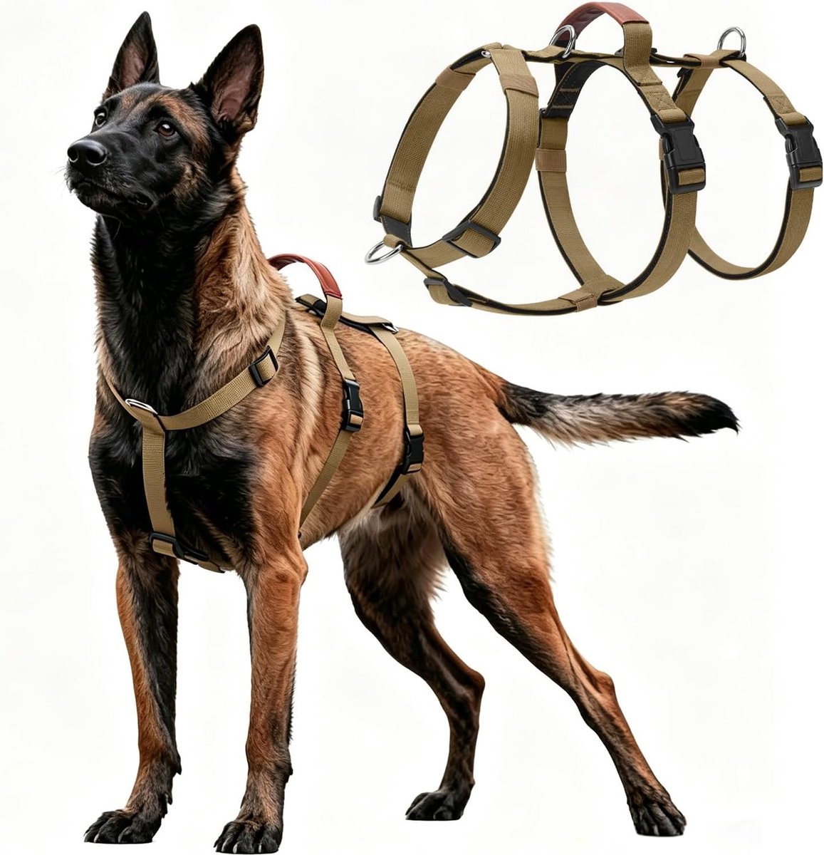 Comfortabel harnas voor honden, ademend en gevoerd, ideaal voor ontspannen wandelingen, geschikt voor alle maten, anti-trek ontwerp, gemakkelijk in gebruik
