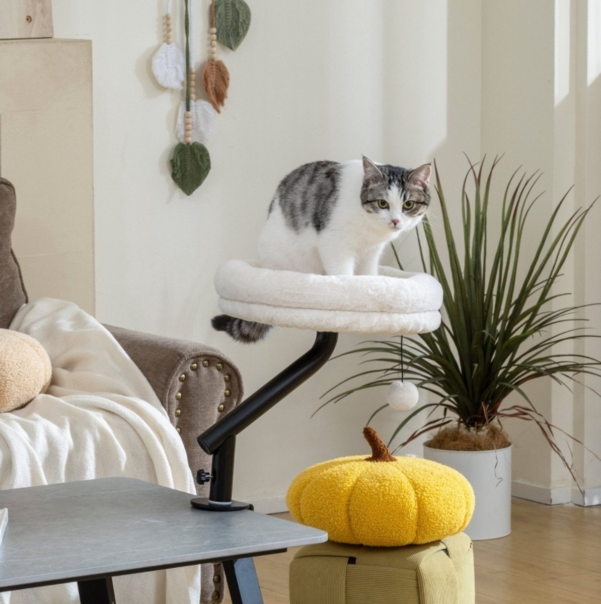 MODFU - Kattenhangmat - 360° Draaibaar - Verstelbare Hoogte - Bureau Of Vensterbank