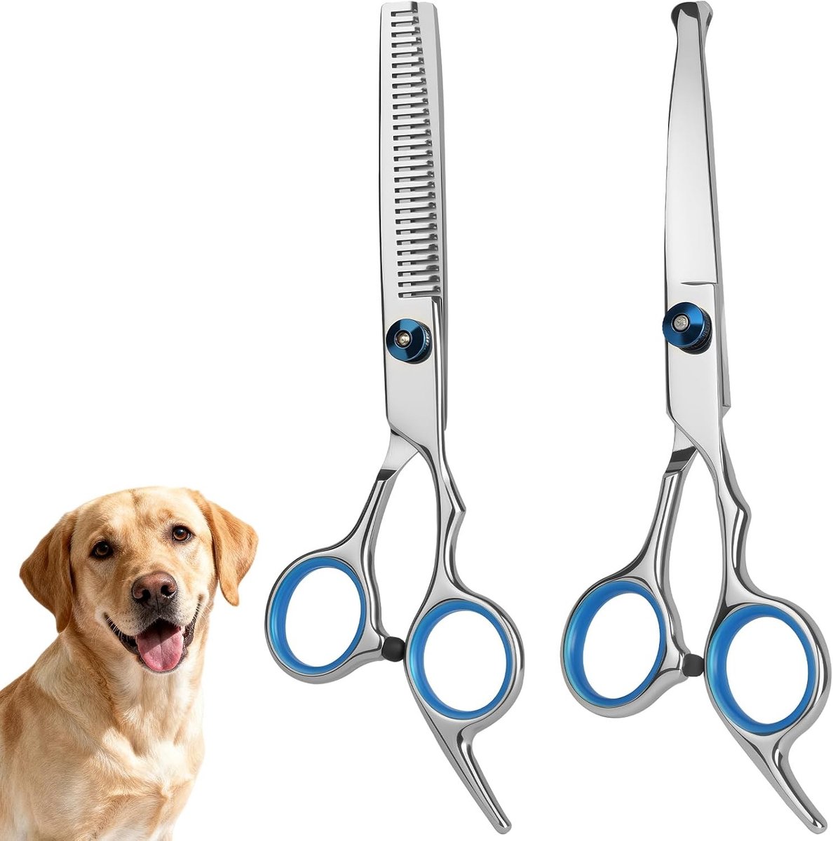 Curved Scharen voor Honden en Katten, RVS Veiligheidsgrooming Scharen met Ronde Punt, 2 Stuks voor Dierenverzorging en Vachtverzorging