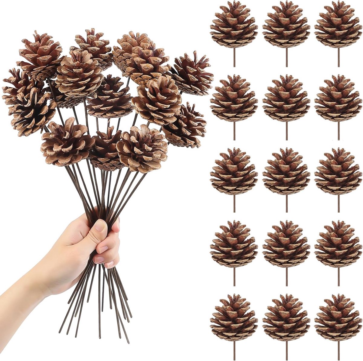 15pcs Natural Pine Cones Decoration 30cm Pine Cones Ornaments with Stem Pine Cones Picks for Christmas Tree Ornament - ShopVlot