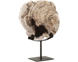 MUST Living Statue Fossil,33x26x11 cm, petrified wood on an base
