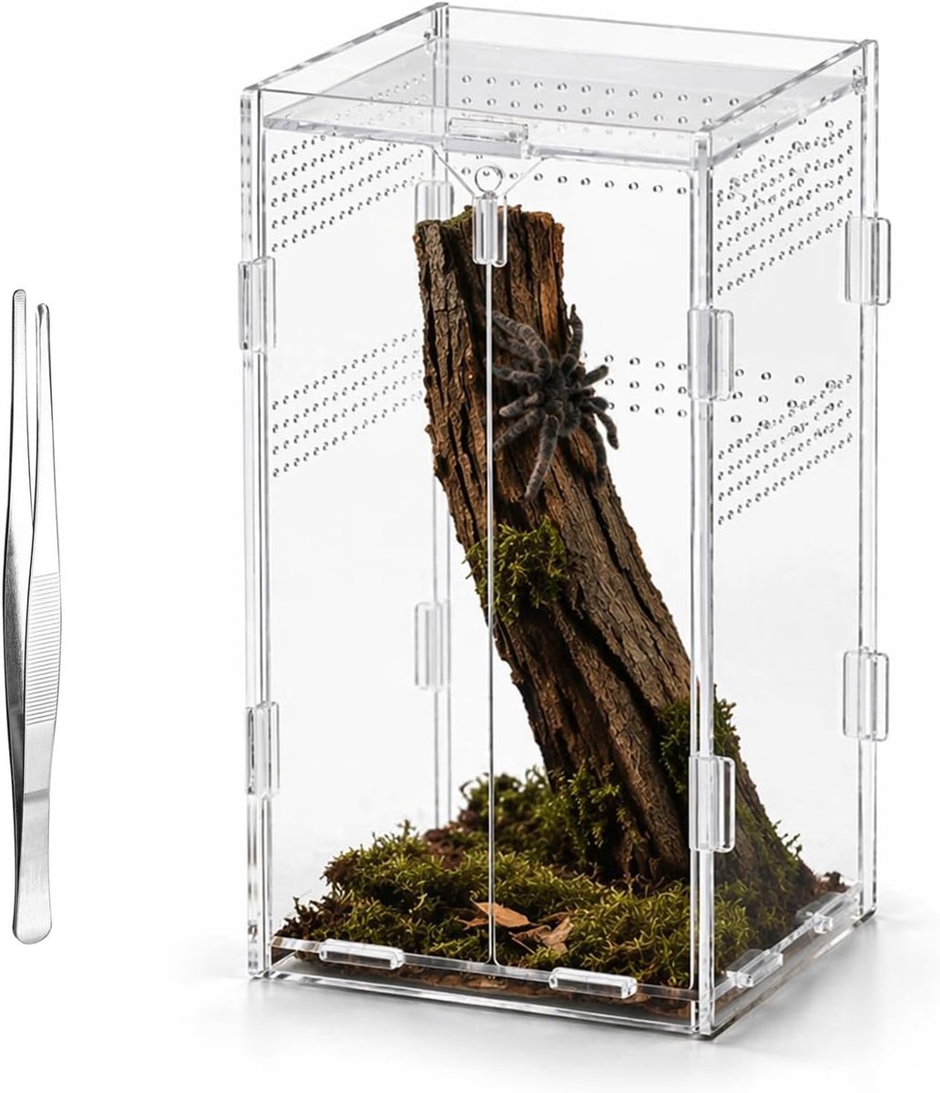 terrarium voor springspinnen inclusief pincet 12×12×20 cm Geschikt voor reptielen en amfibieën spinnen hagedissen kevers kikkers en insecten enz