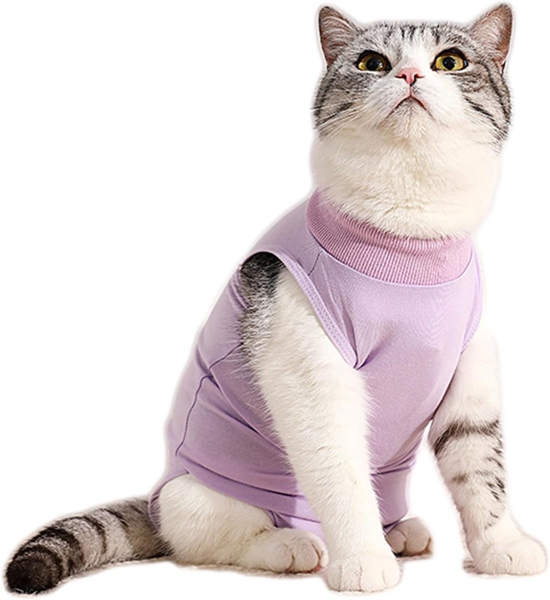 kat na operaties, sterilisatie, overall voor kat na de operatie, voor buikwonden of huidziekten om het likken van wonden te voorkomen (paars, M)