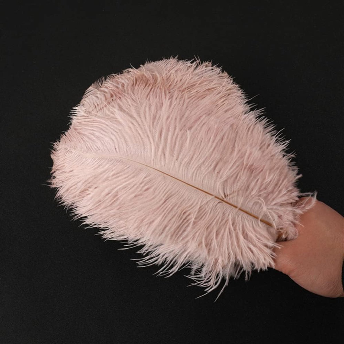 Struisvogelveren, 10 stuks, 25 - 30 cm, om te knutselen, knutselveren voor doe-het-zelf dromenvanger-accessoires, woondecoratie, kostuums, tafeldecoratie, bruiloft, feest, hoed, kleding,