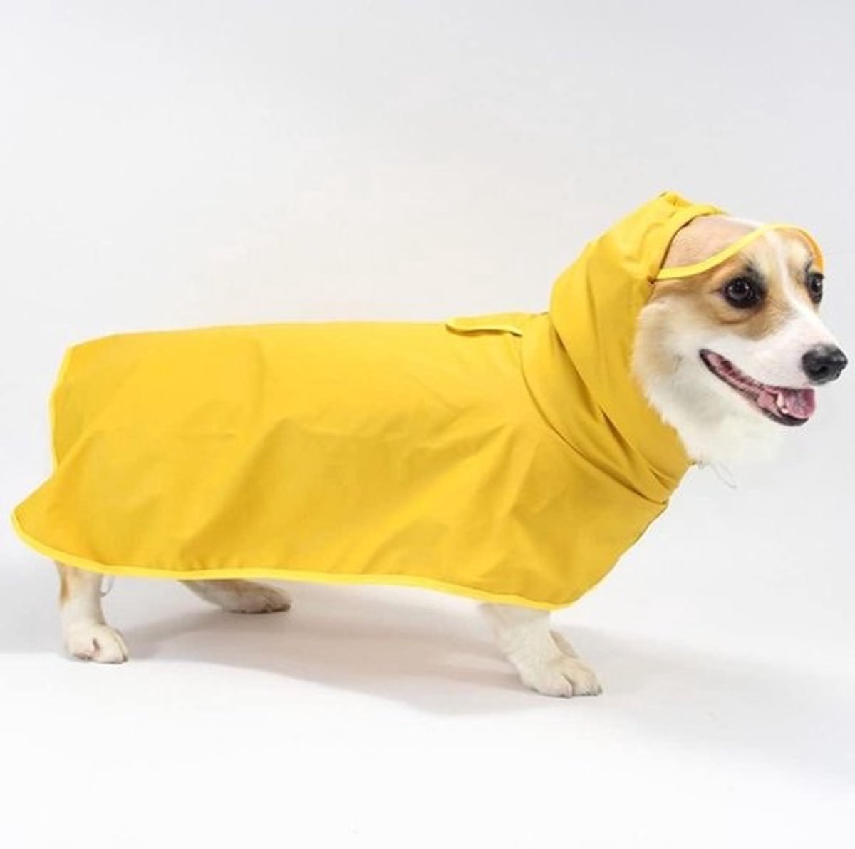 Reflecterende Hondenregenjas - Waterdichte Hondentrui - Hond Uitlaten - Met Capuchon - 8XL - Zwart