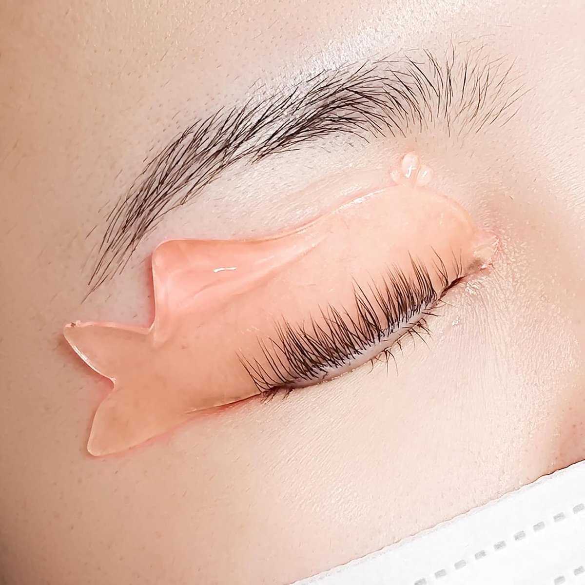Wimperlifting pads, Lash Lifting Pads Oranje