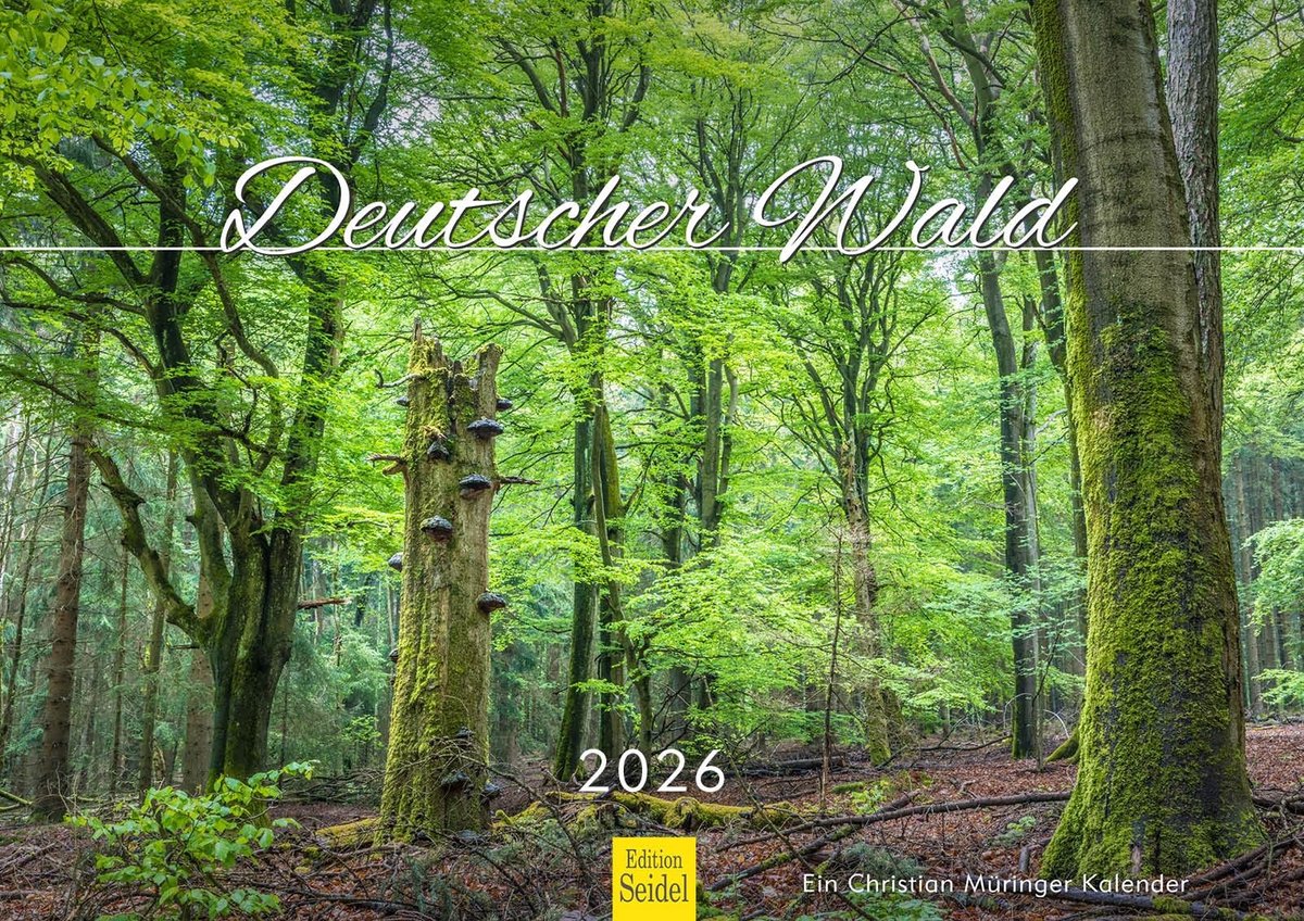 Elzusha - Wandkalender 2026 - Duitse Boslandschappen - A3