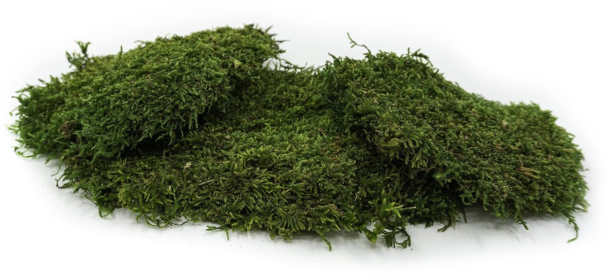 Elzusha - Platmos voor Decoratie en Modelbouw 250 g