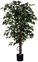 Hoge groene ficus kunstplant met donkerbruine stammen en bladeren in een zwarte pot.