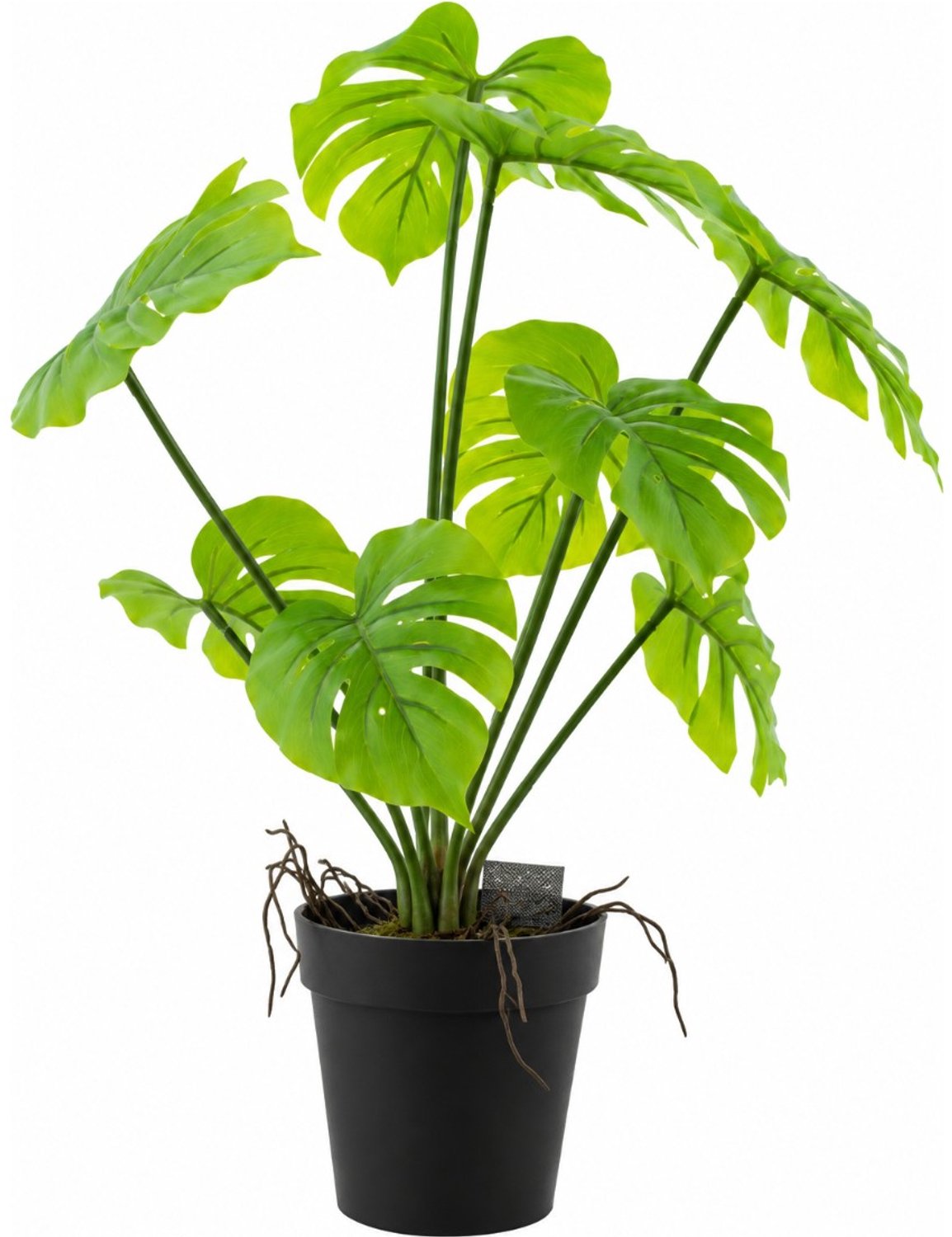 van der Leeden Monstera in pot 28 cm - kunstplant