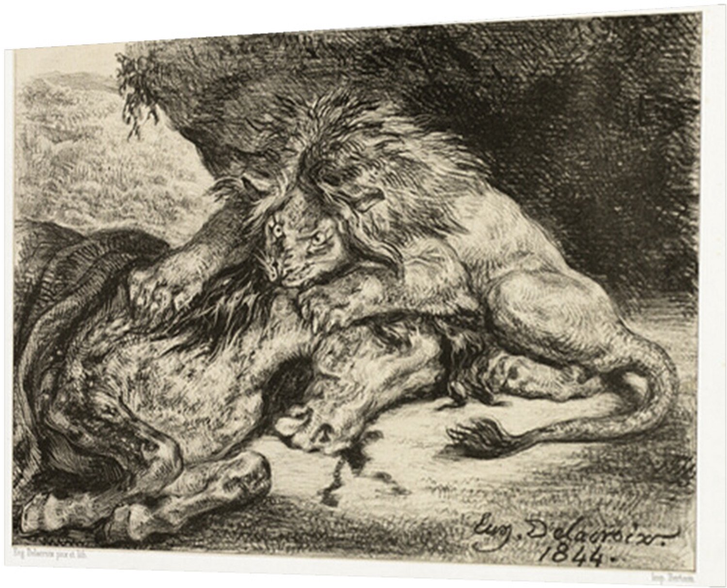 Printen.eu Poster - Lion Devouring a Horse - 38.2 x 27 cm Multicolor
