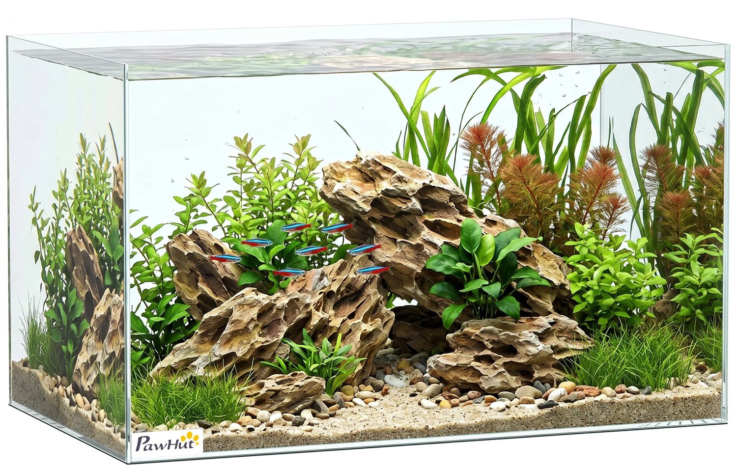 Bresht Aquarium - 43 Liter - 5 mm Gehard Glas - Geschikt voor zoet & zoutwater - Beschermmat inbegrepen - 50 × 30 × 30 cm