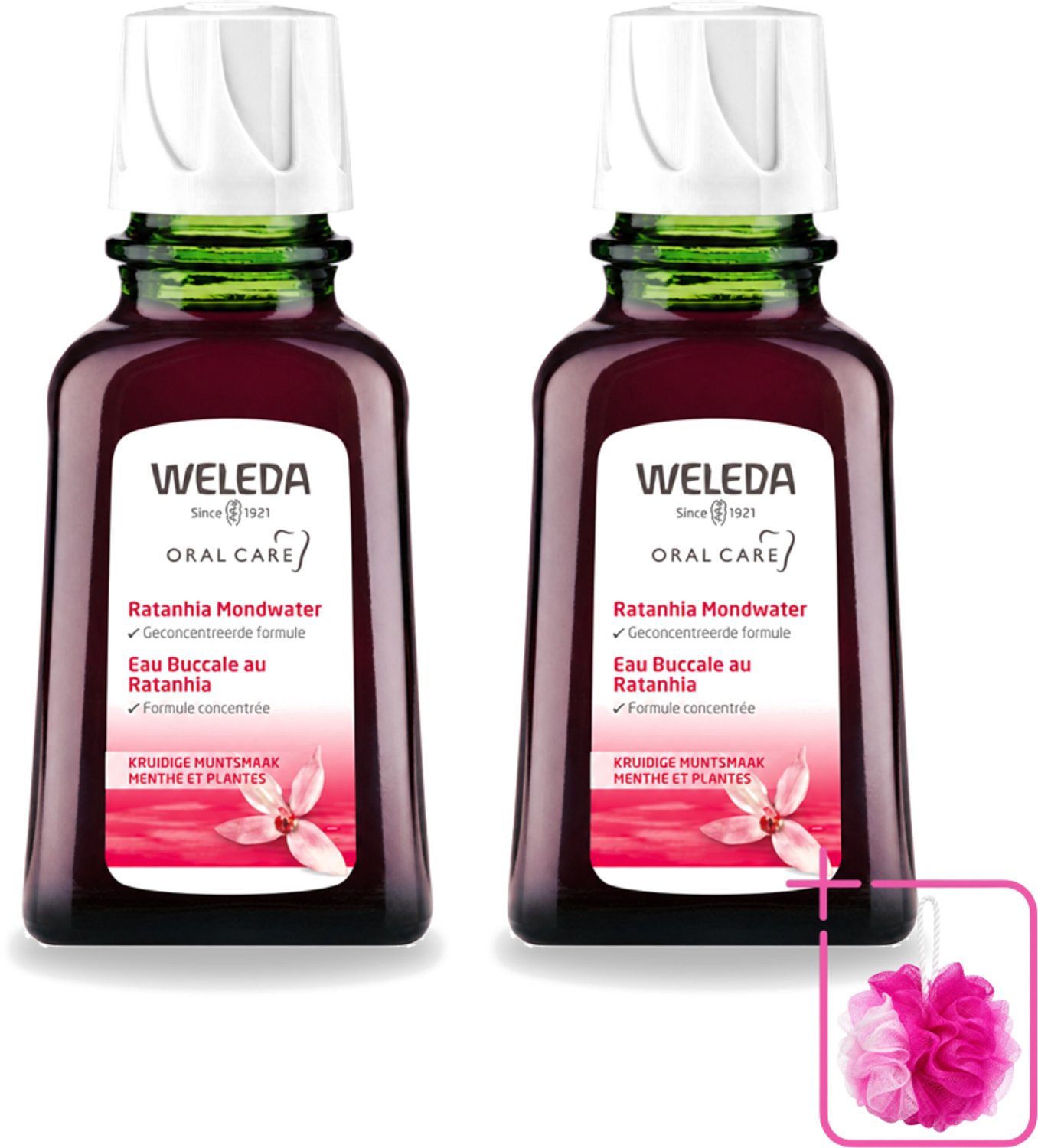 2 x WELEDA - Mondwater geconcentreerd - Ratanhia - 50 ml - Bulkverpakking - Mondwater - Douchemop - Tandvlees verzorging