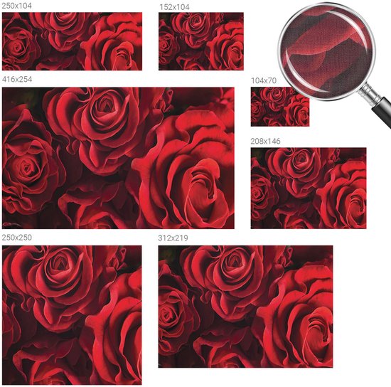Wallfluent Zelfklevend Fotobehang - Rood Vliesbehang - 250x250 cm - Rode Rozen Behang Zonder Lijm - Slaapkamer behang Bloemen En Planten - Luchtbelvrij Behang - Polyester Behang