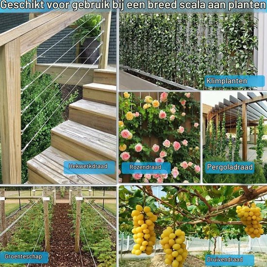 Professionele Plantstand voor Klimplanten, Compleet Systeem met Wandbeugels en Staal Kabel voor Optimale Groei en Ondersteuning — afbeelding 4