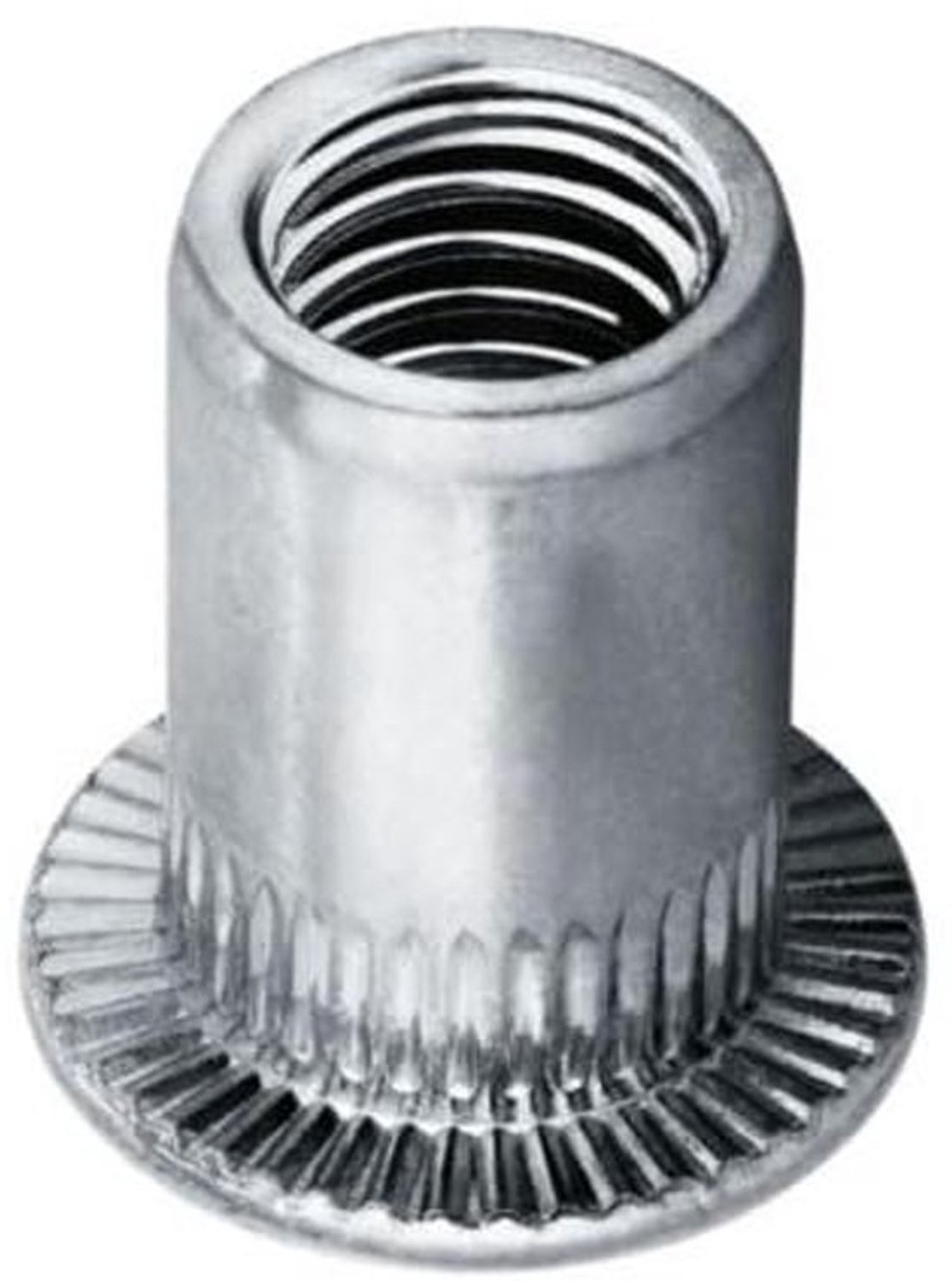 Vlakkop blindmoeren alle maten - Alu, verzinkt staal, roestvrij staal A2 moeren (roestvrij staal A2 M8 klemgebied 5,0-8,0mm, 10 stuks)